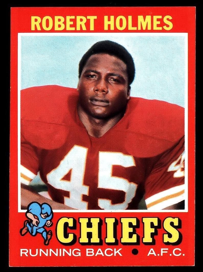 Robert Holmes #254