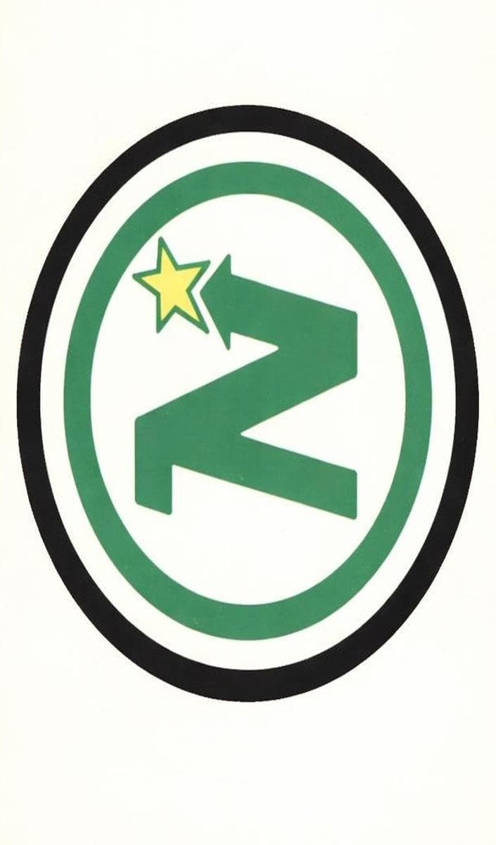 North Stars Logo #330