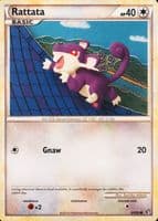 Rattata 2010 Pokemon