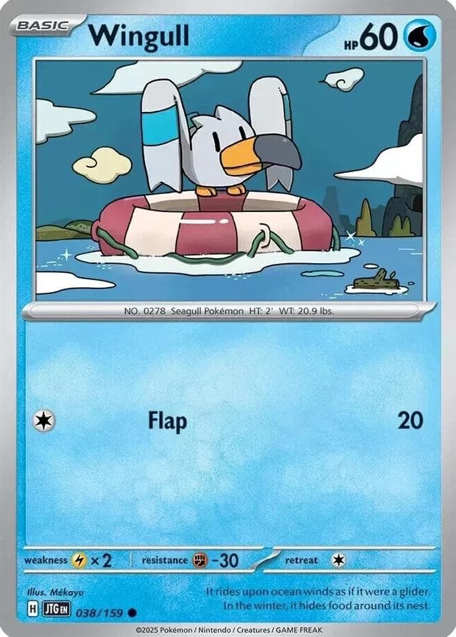 Wingull #38