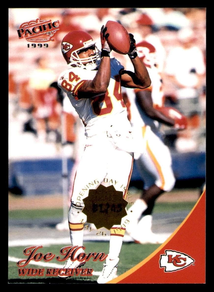 Joe Horn #196