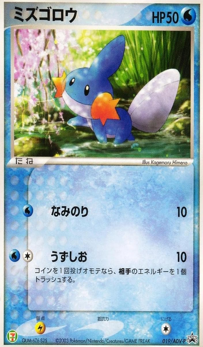 Mudkip #19