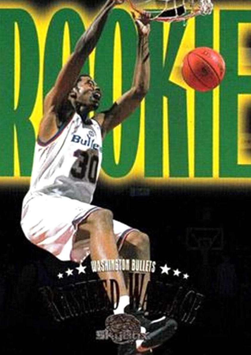 Rasheed Wallace 1995 fleer SkyBox Premium