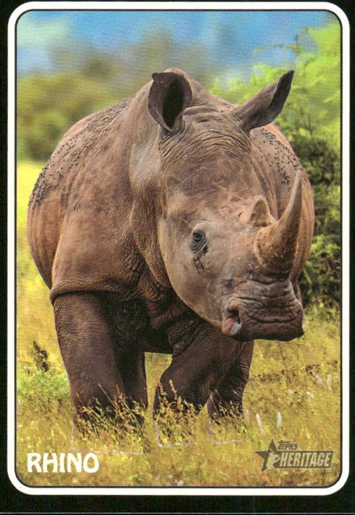 Rhino trading card