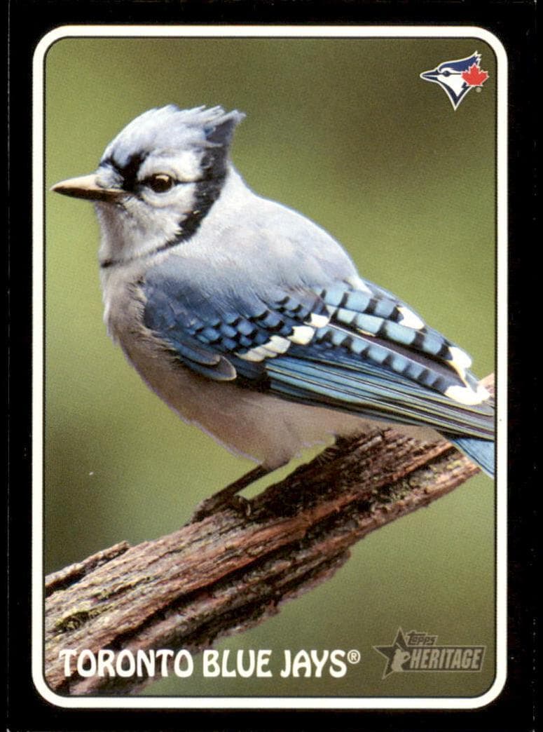 Toronto Blue Jays trading card