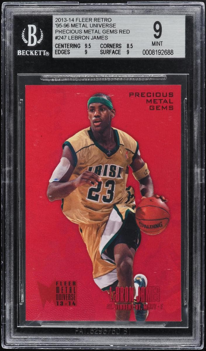 LeBron James #247