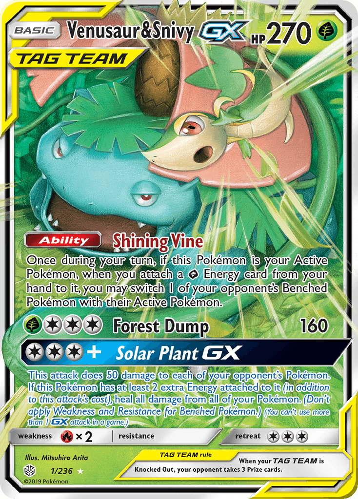 Venusaur & Snivy GX #1
