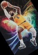 Dwyane Wade trading card
