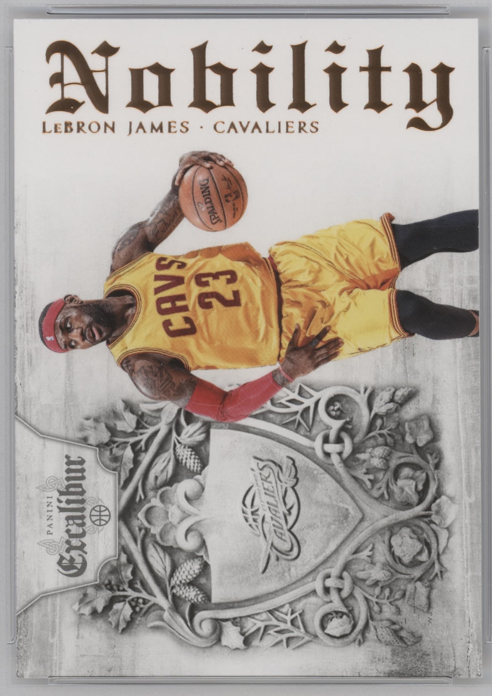 LeBron James 2014 panini