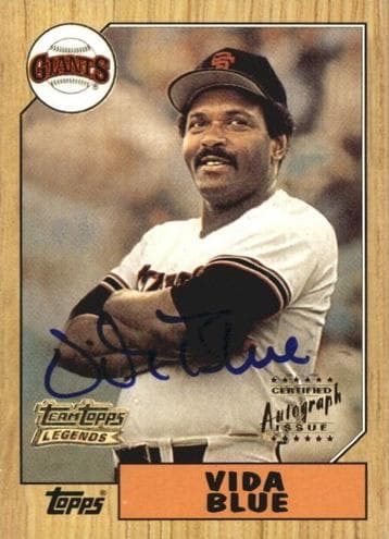 Vida Blue #TT33F