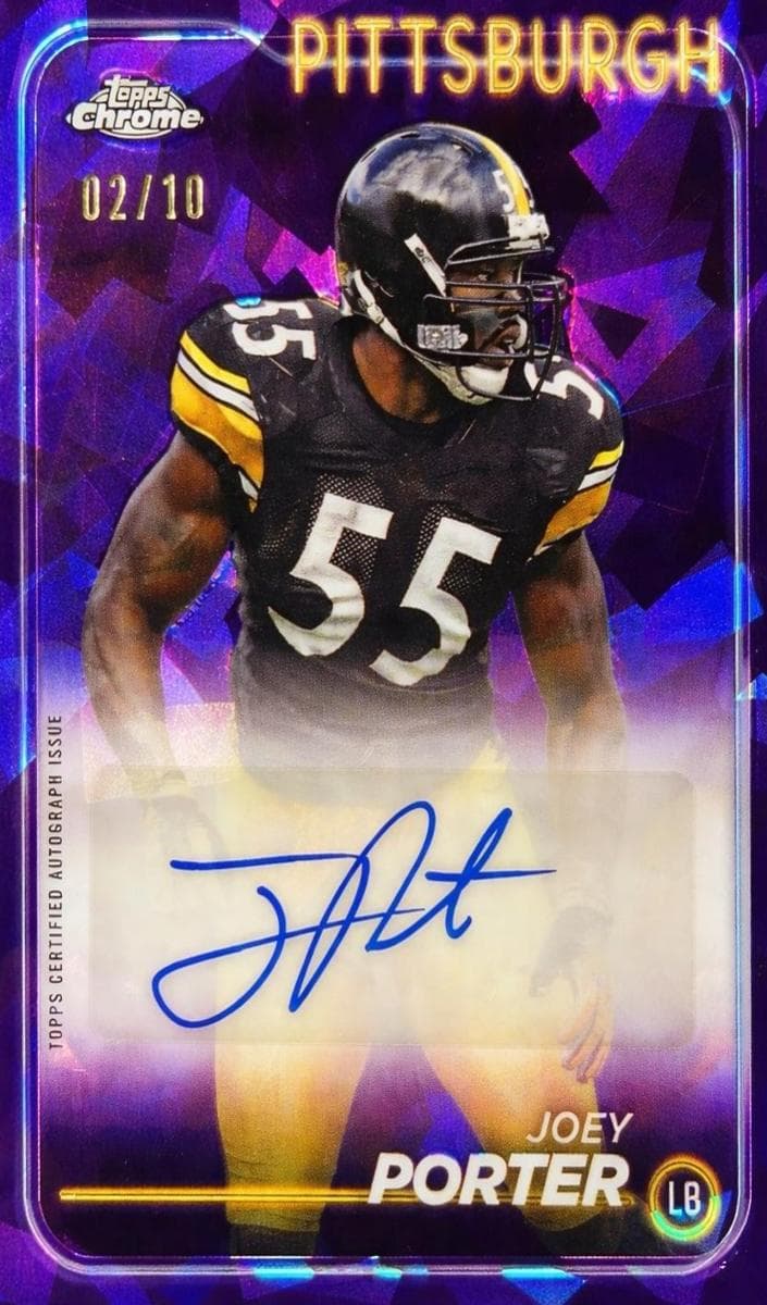 Joey Porter #169