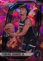 Terrence Shannon Jr. trading card