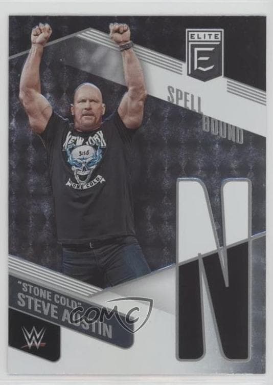 "Stone Cold" Steve Austin #18