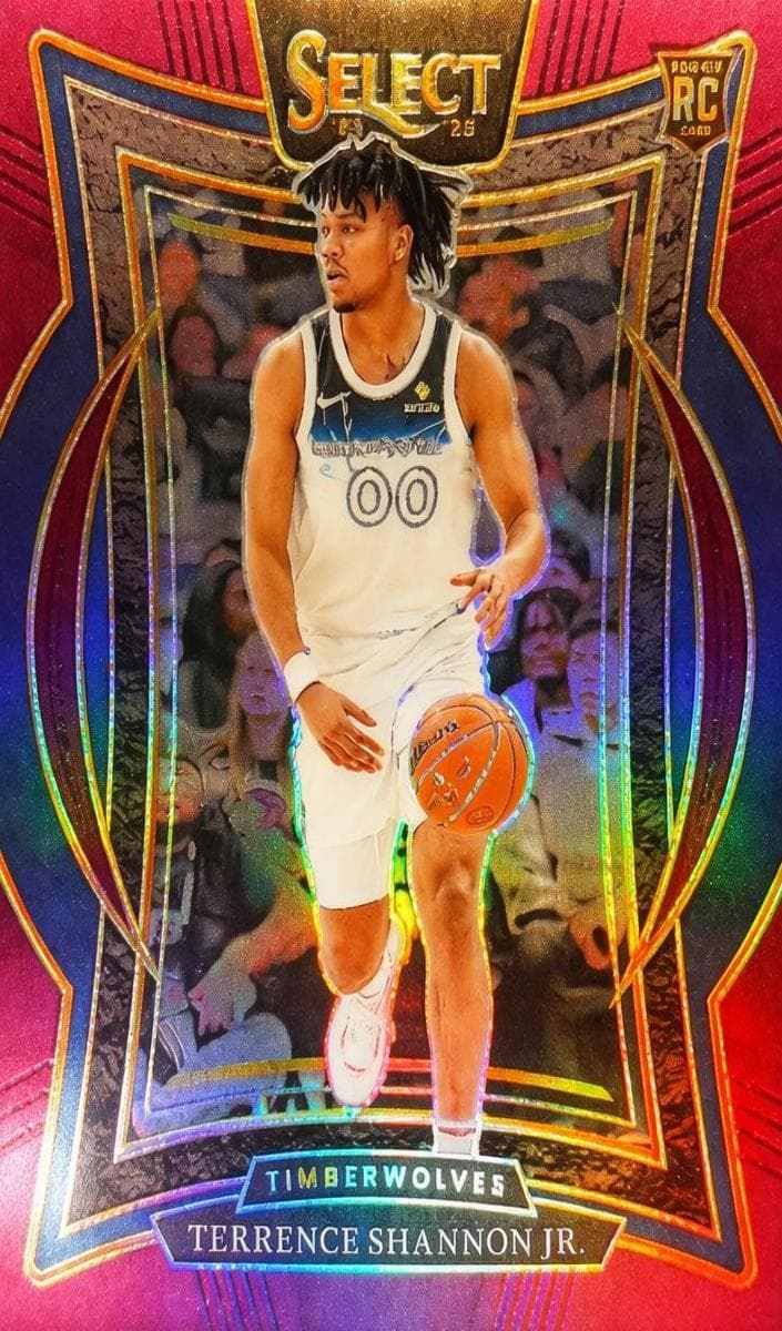 Kawhi Leonard 2024 panini Panini Select