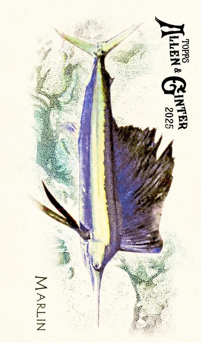 Marlin 2025 topps Allen & Ginter