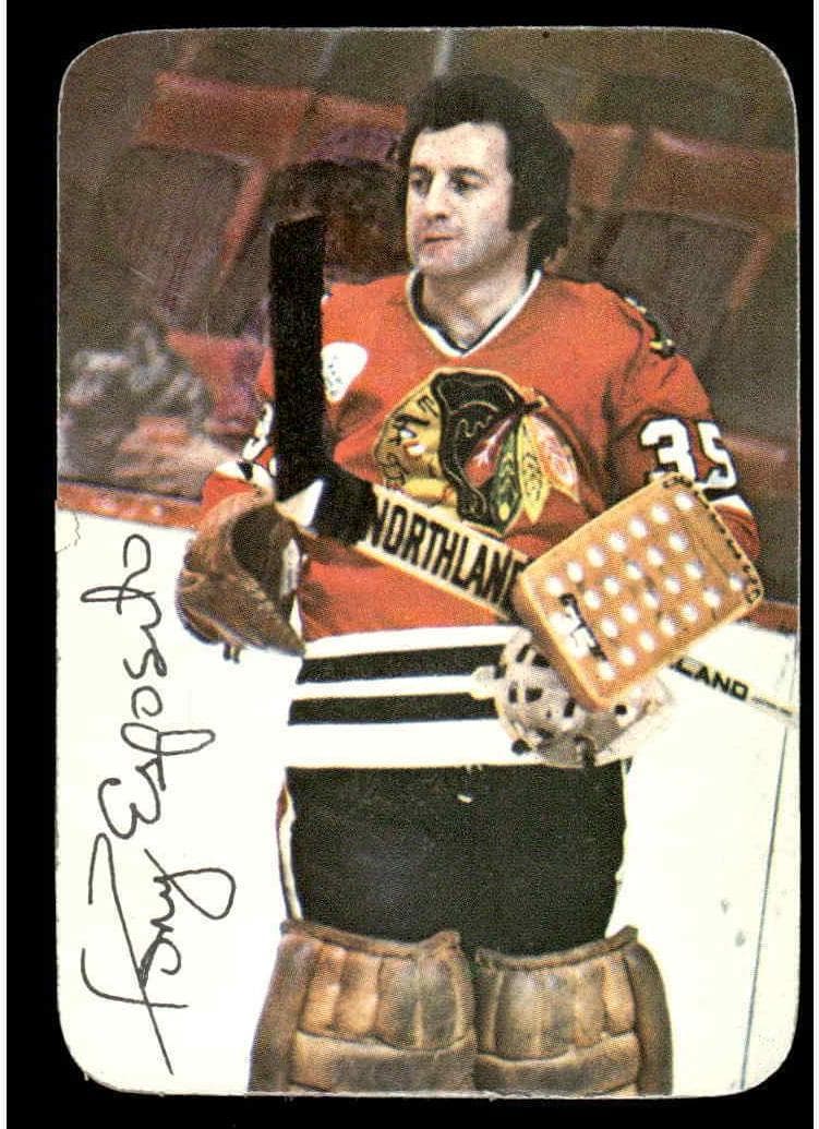 Tony Esposito 1976 topps Topps