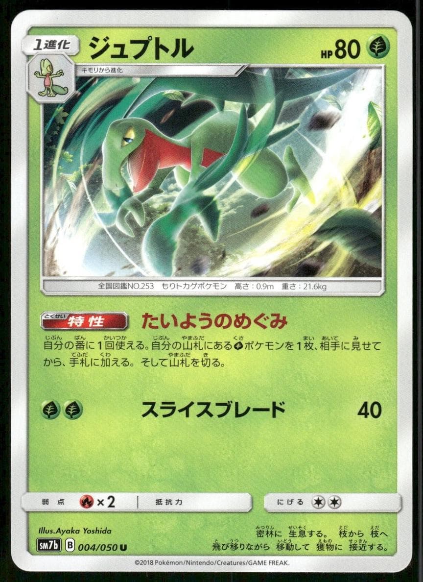 Grovyle #9
