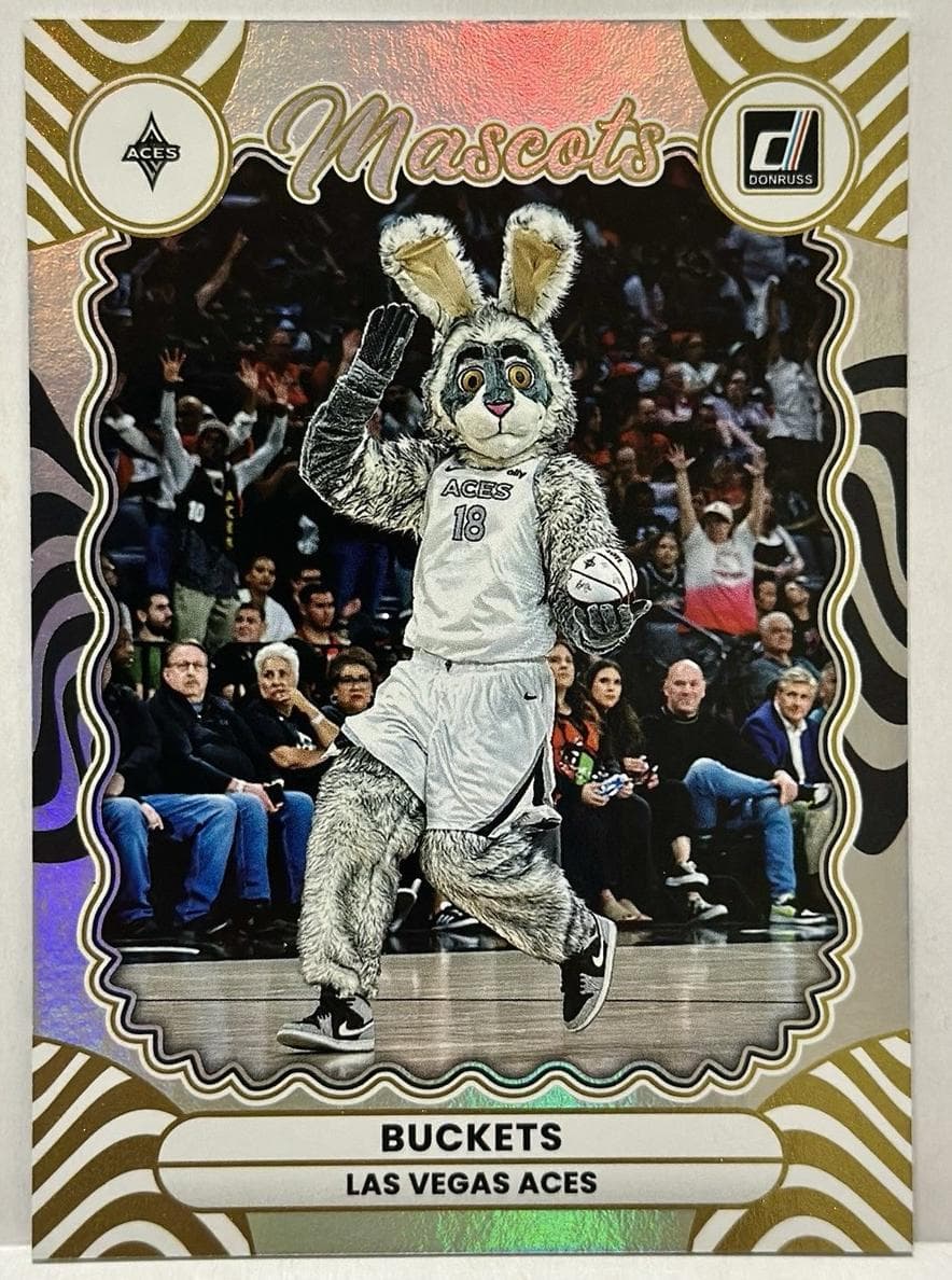 Buckets 2025 panini