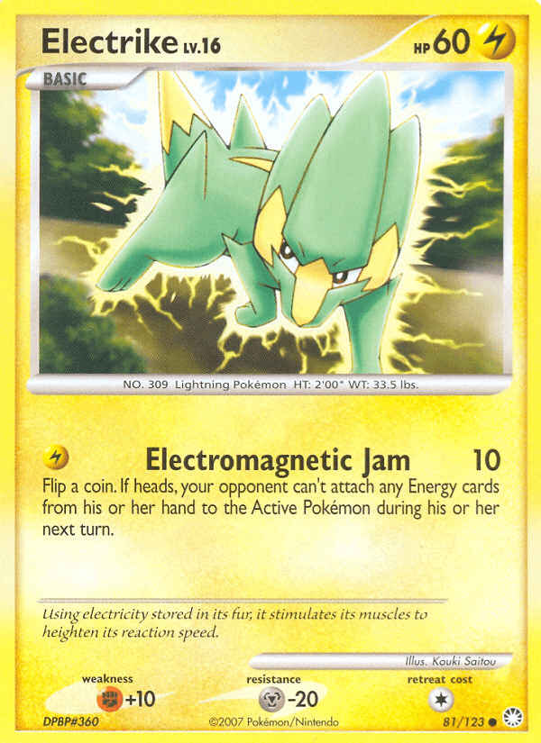 #81