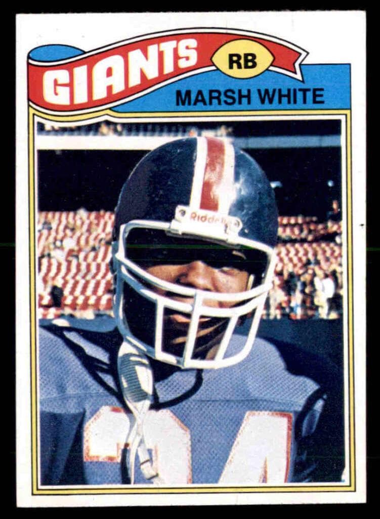 Marsh White #196