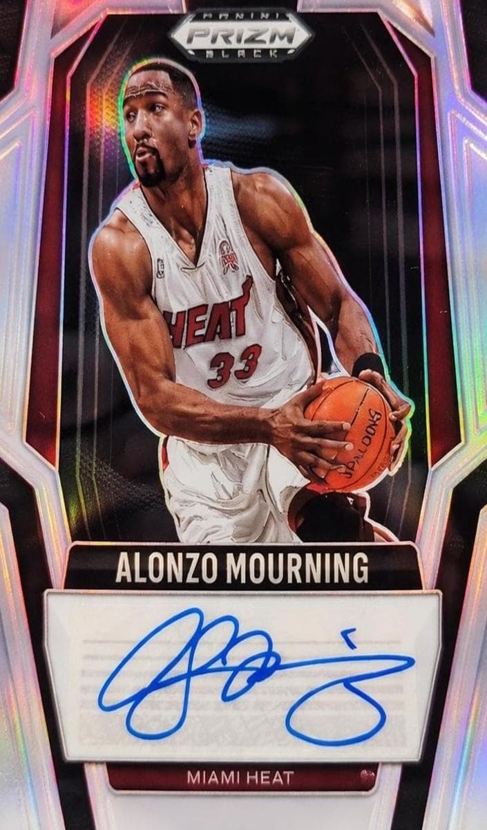 Alonzo Mourning #284