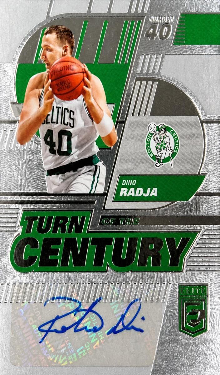 Dino Radja #tcs-drj