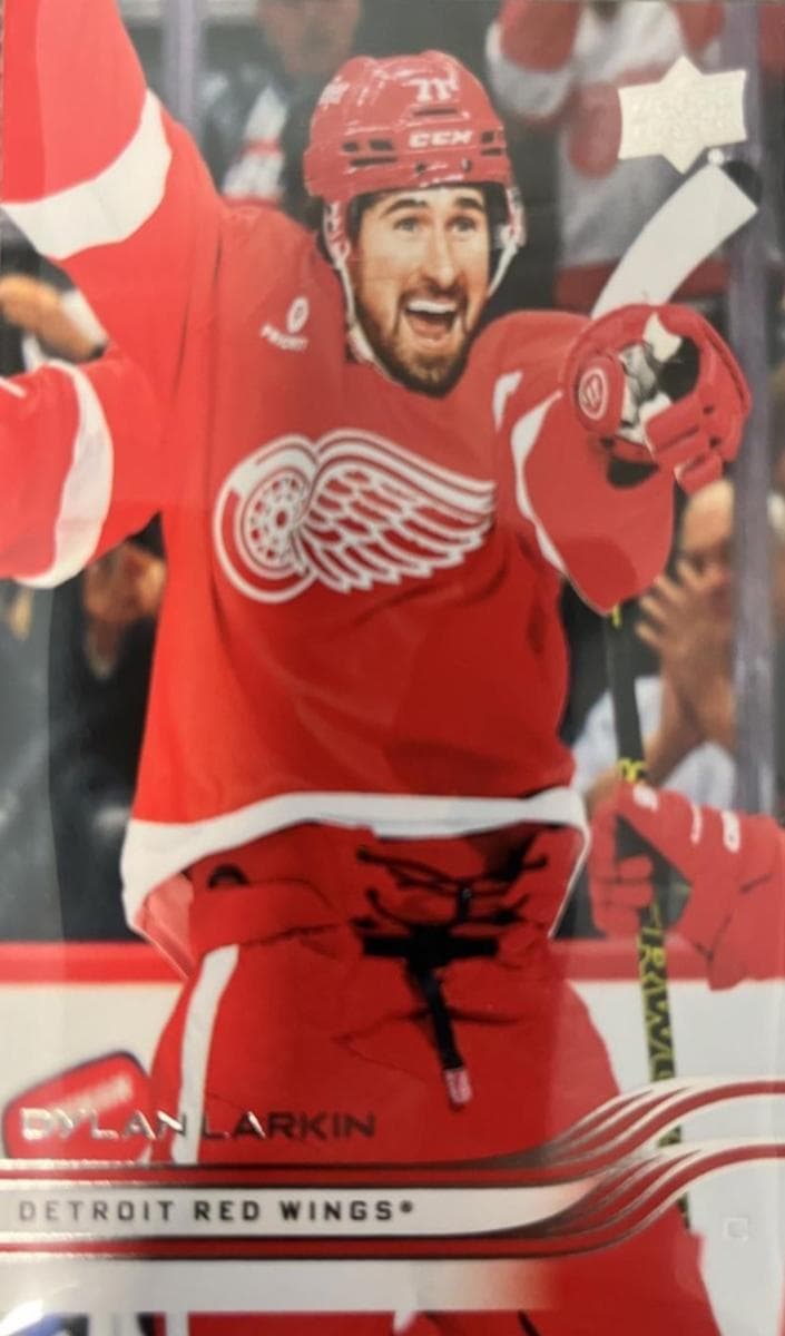 Dylan Larkin #62