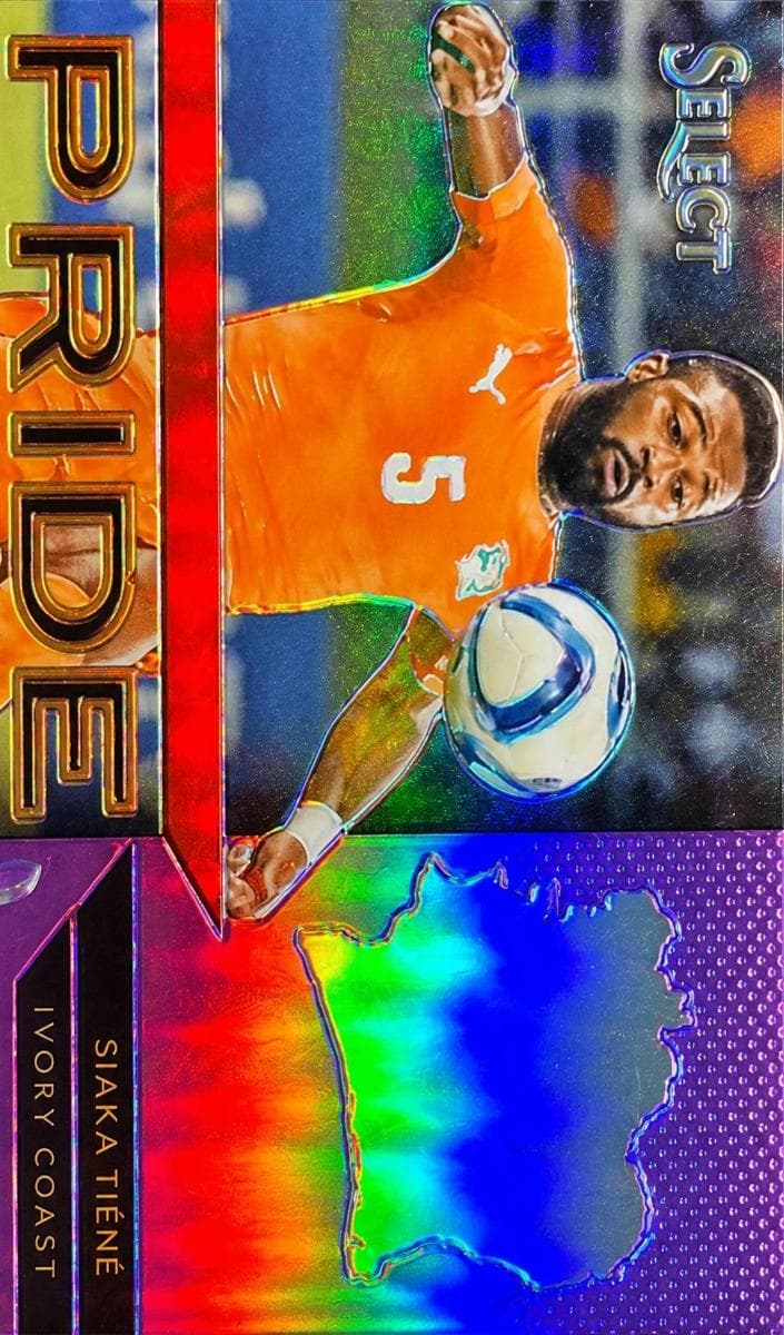 Siaka Tiene 2015 panini