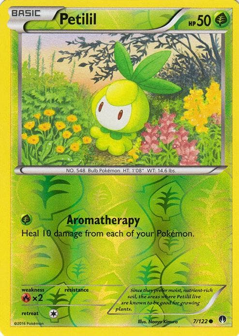 Petilil #7