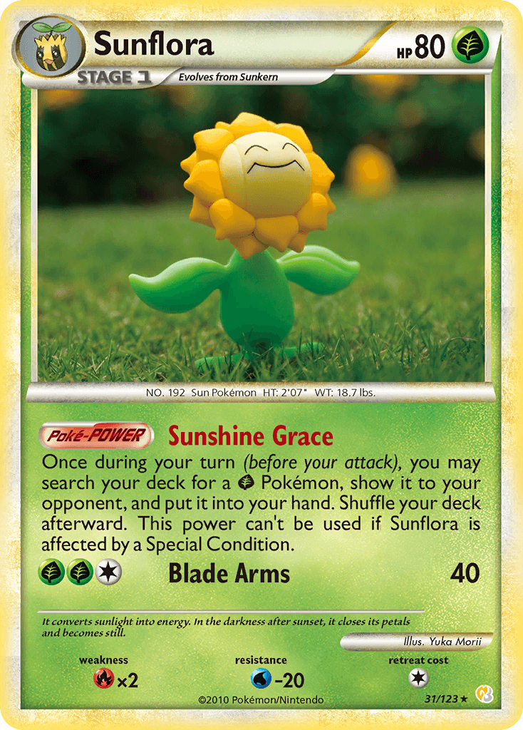 #31