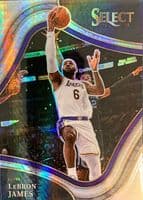 LeBron James #219