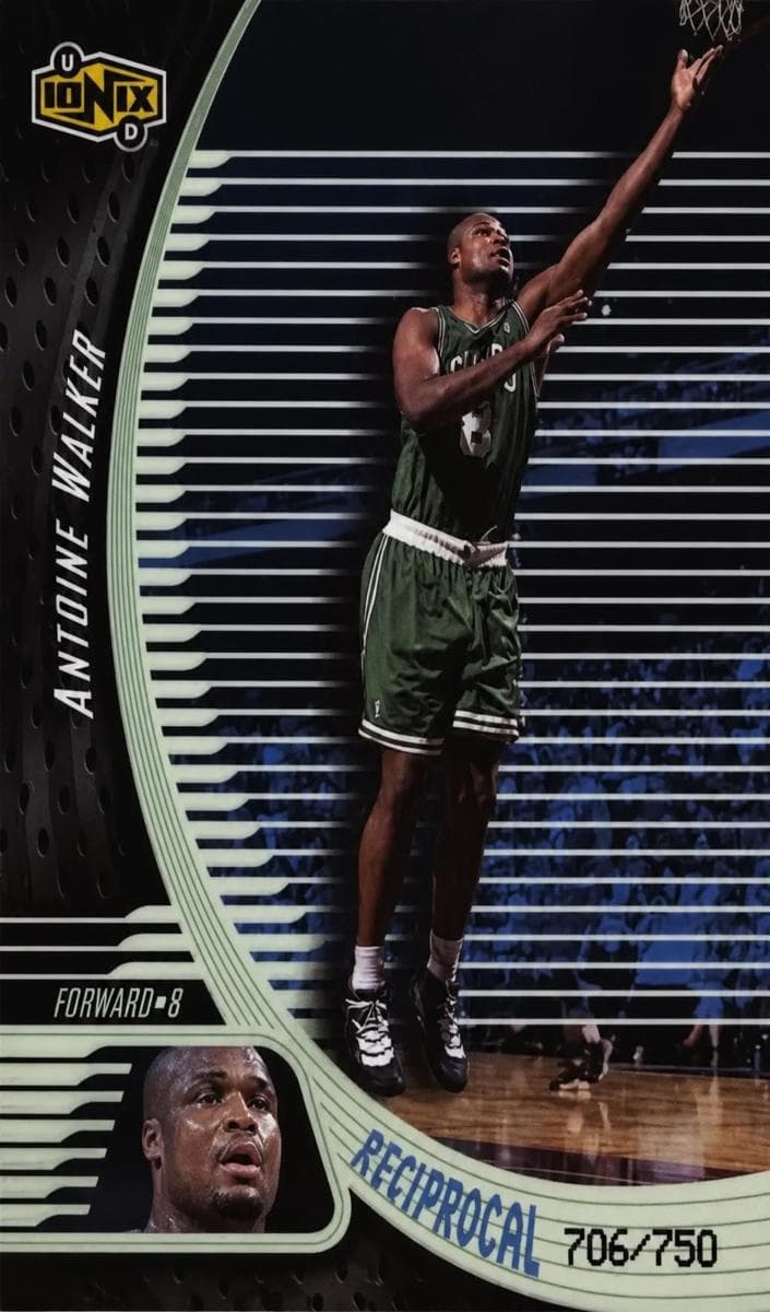 Antoine Walker #r10
