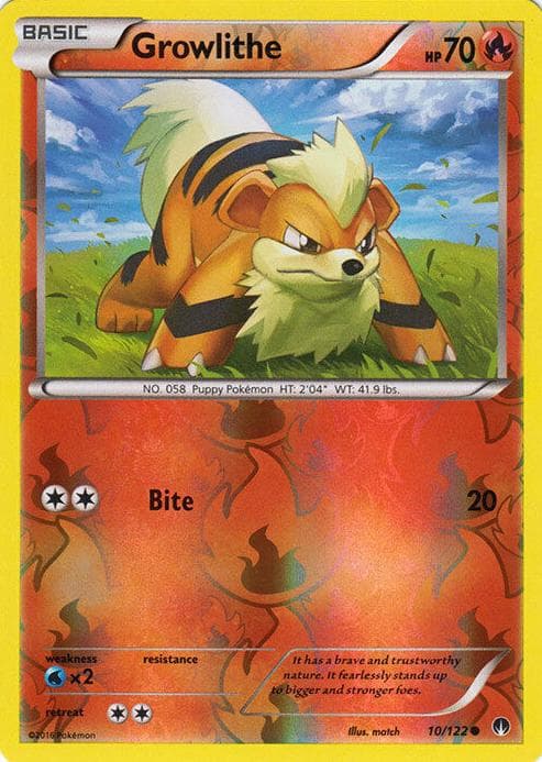 Growlithe #10