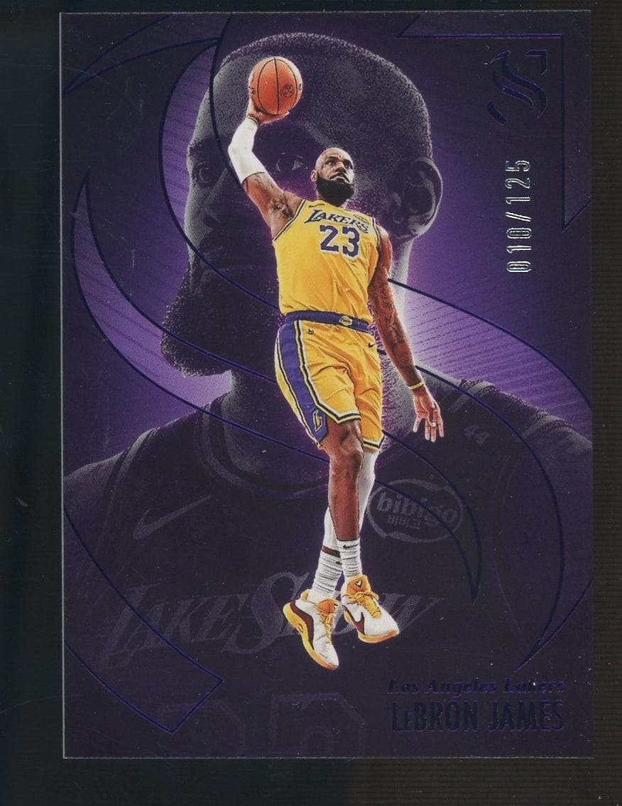 LeBron James 2024 panini Panini Silhouette