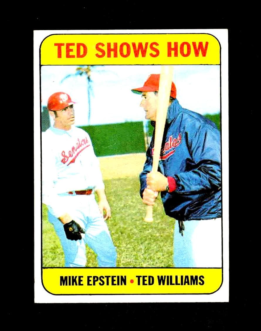 Ted Shows How (Mike Epstein / Ted Williams) #539