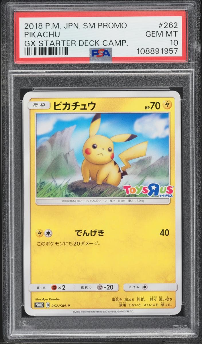 Pikachu #262