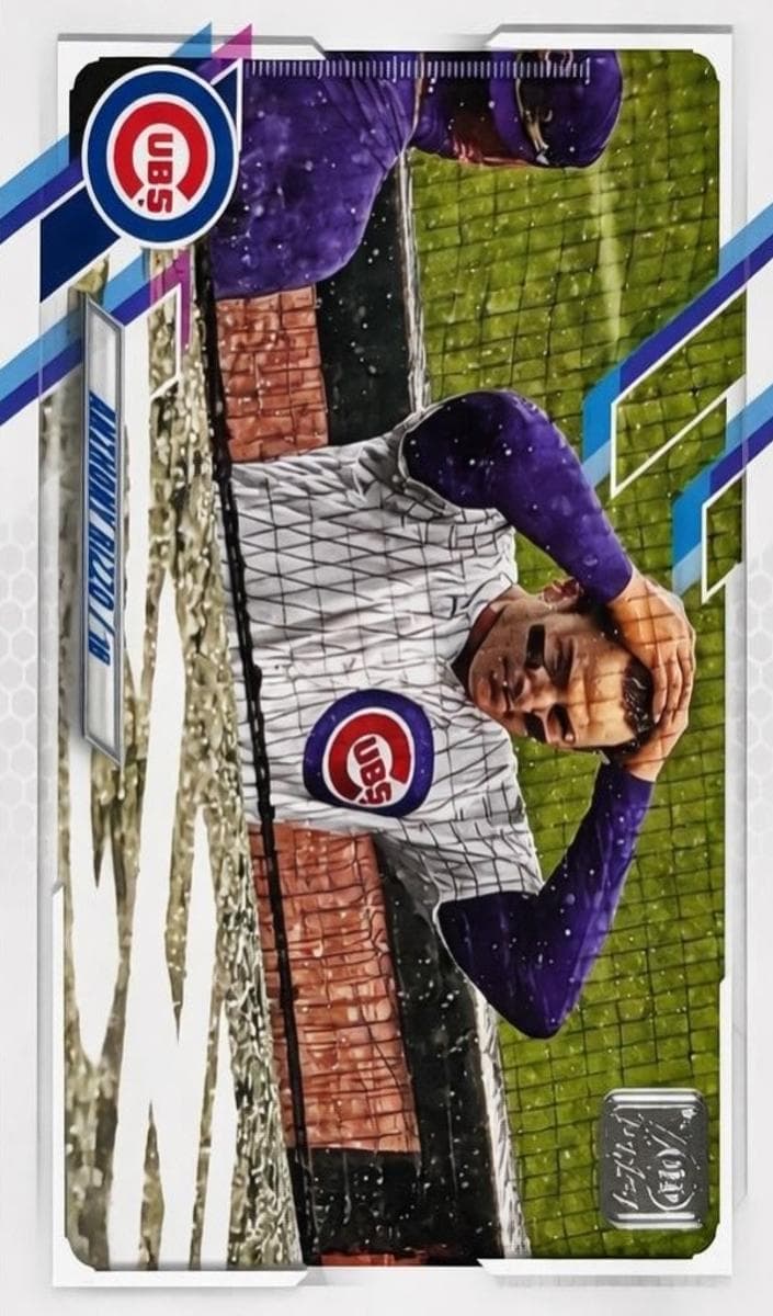 Anthony Rizzo #241