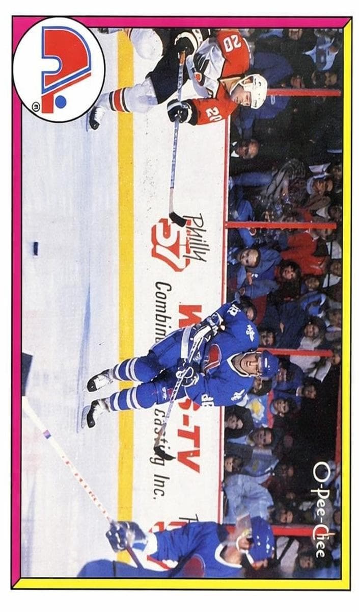 #313