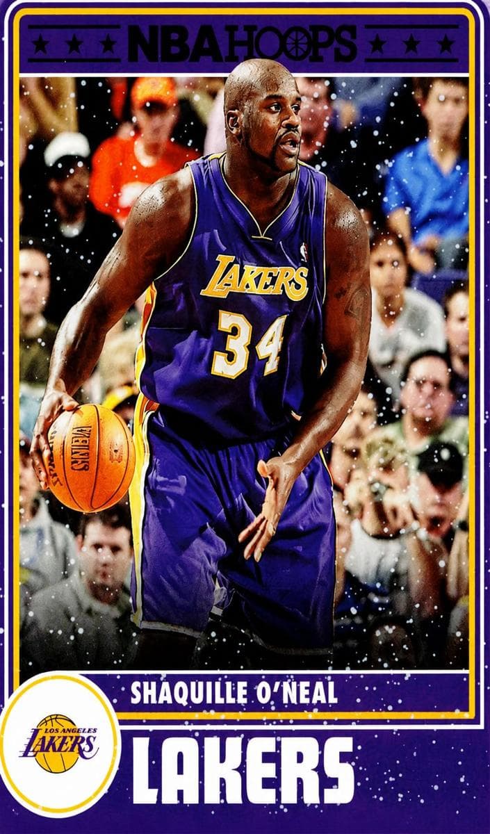 Shaquille O'Neal  #289