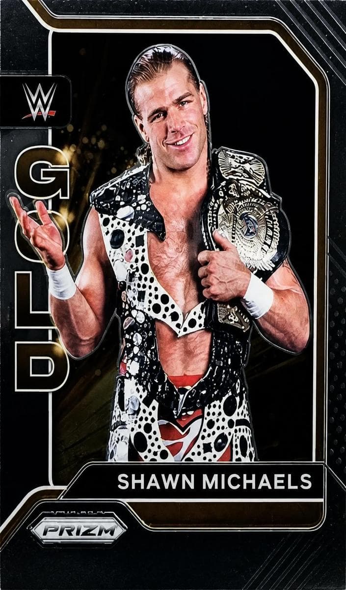 Shawn Michaels #19