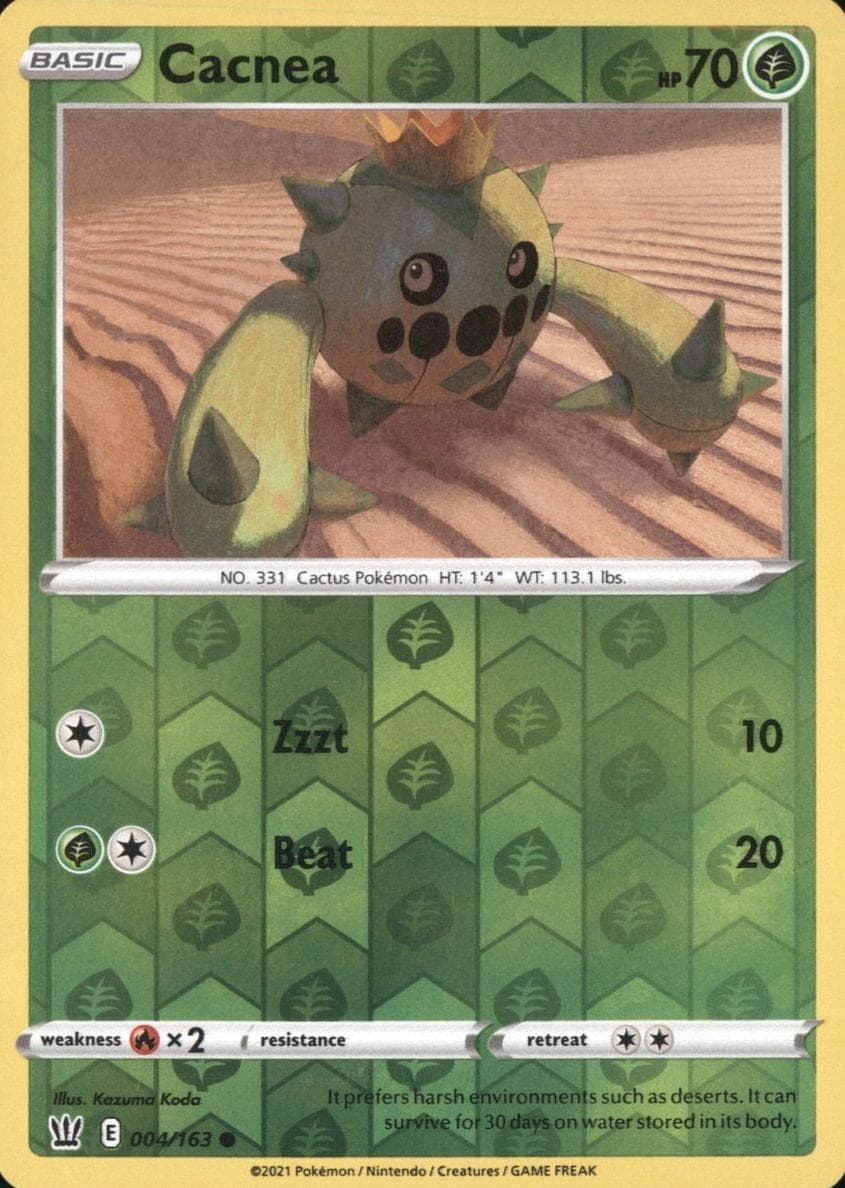 Cacnea #4