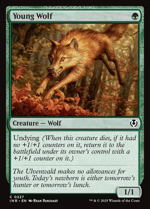 Young Wolf 2012 Magic: The Gathering Dark Ascension