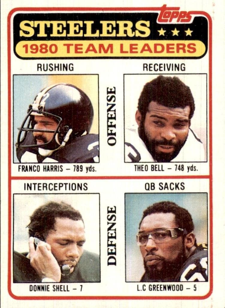 Steelers Team Leaders #526