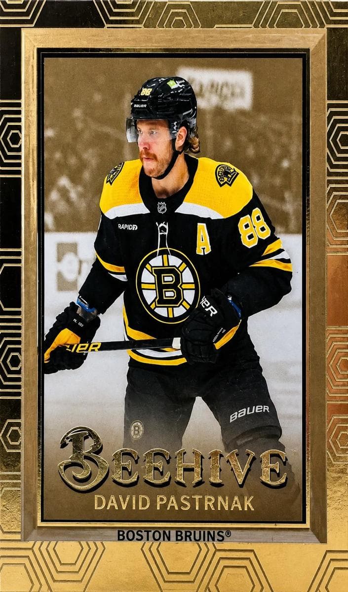 David Pastrnak #BH-28
