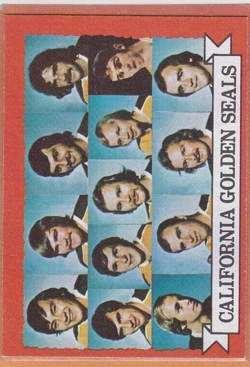 California Golden Seals Team #95