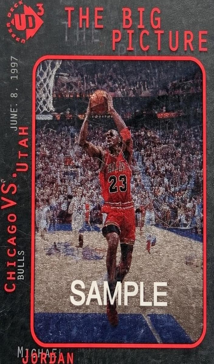 Michael Jordan #45