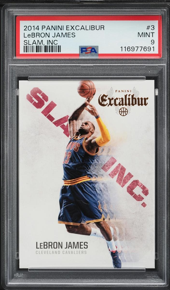 LeBron James #3