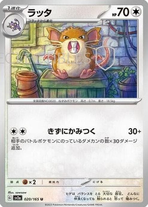 Raticate #20
