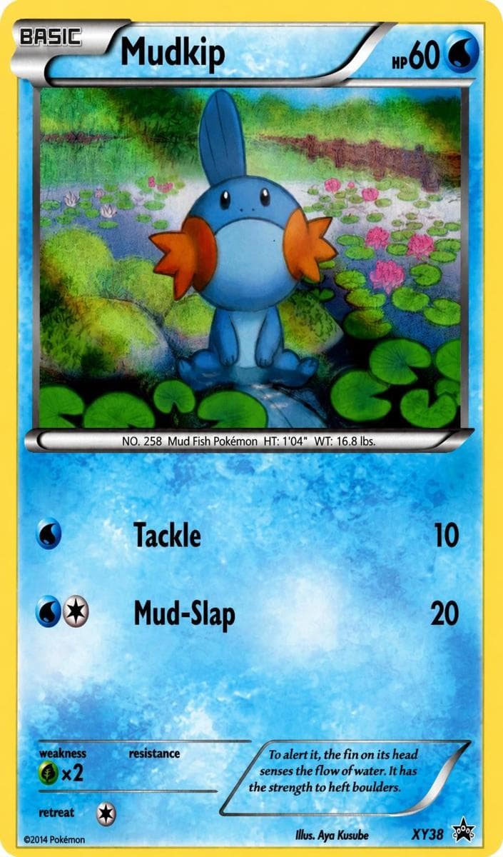 Mudkip #xy38