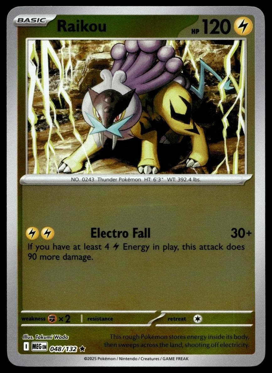 Raikou #48
